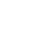 Tiktok icon